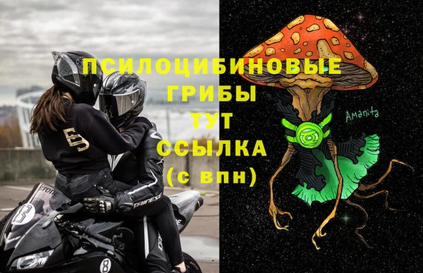 спайс Гусиноозёрск